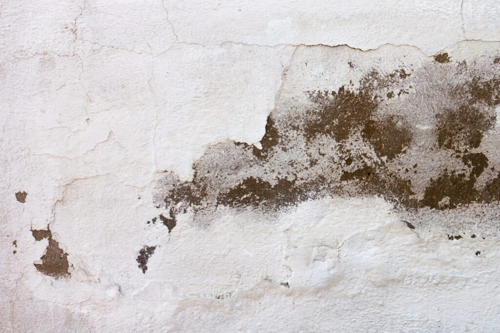 Can Cavity Wall Insulation Cause Damp and Mould?